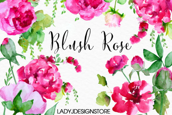 Download Hand Painted Watercolour Rose Clipart - Premium Bundle