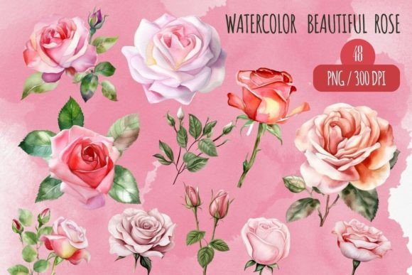 Download Watercolor Rose Clipart Set - Watercolor rose clipart Collection